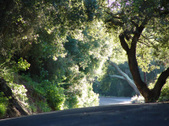 Enlarge photo 43