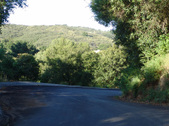 Enlarge photo 44