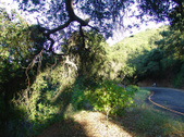 Enlarge photo 45