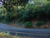 Enlarge photo 46