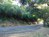 Enlarge photo 47