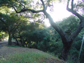 Enlarge photo 48