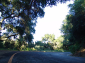 Enlarge photo 49