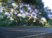 ROADS