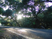 Enlarge photo 51