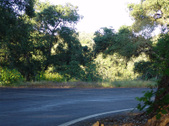 Enlarge photo 52
