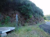 Enlarge photo 53