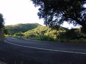 Enlarge photo 54