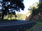Enlarge photo 55