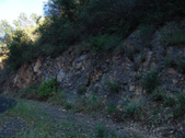 Enlarge photo 56