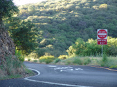 Enlarge photo 57