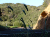 Enlarge photo 58
