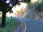 Enlarge photo 59