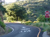 Enlarge photo 60