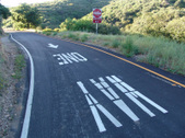 Enlarge photo 61