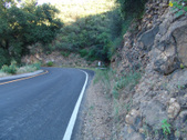 Enlarge photo 62
