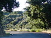 Enlarge photo 63