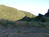 Enlarge photo 65