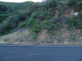 Enlarge photo 67