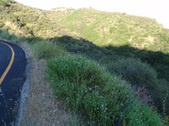 Enlarge photo 73