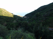 Enlarge photo 74