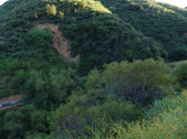 Enlarge photo 75