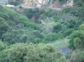 Enlarge photo 78