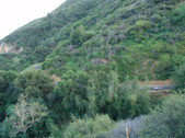Enlarge photo 79