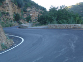 Enlarge photo 82