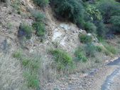 Enlarge photo 85