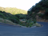Enlarge photo 87