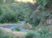 Enlarge photo 89