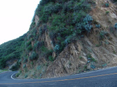 Enlarge photo 93