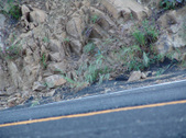 Enlarge photo 94