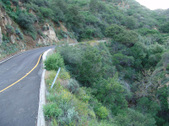 Enlarge photo 96