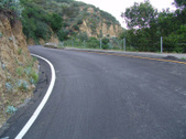 Enlarge photo 99