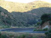 Enlarge photo 107