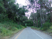 Enlarge photo 109