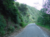 Enlarge photo 110