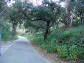 Enlarge photo 111