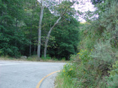 Enlarge photo 113
