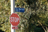 Enlarge photo 1
