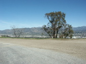 Enlarge photo 1