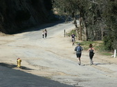Enlarge photo 54
