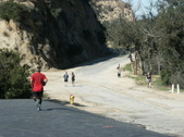 Enlarge photo 55