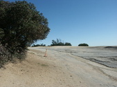 Enlarge photo 73