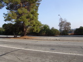 Enlarge photo 34