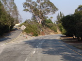 Enlarge photo 42