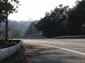 Enlarge photo 47