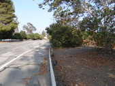Enlarge photo 52